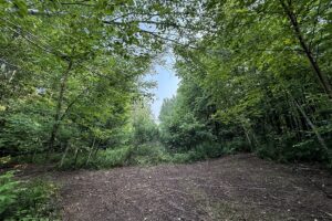 Northern Wisconsin land for sale near Hayward, WI