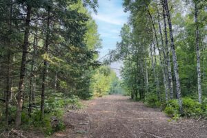 Northern Wisconsin land for sale near Hayward, WI