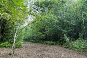 Northern Wisconsin land for sale near Hayward, WI