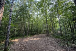 Recreational land for sale near Tuscobia Trail in Northern Wisconsin
