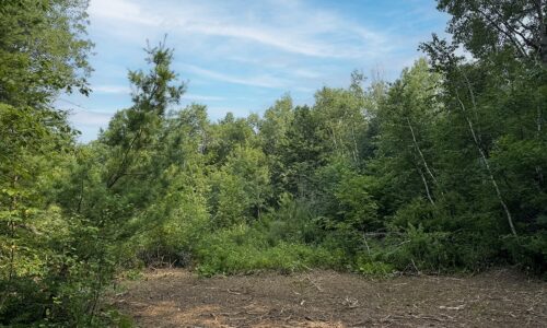 Recreational land for sale near Tuscobia Trail in Northern Wisconsin