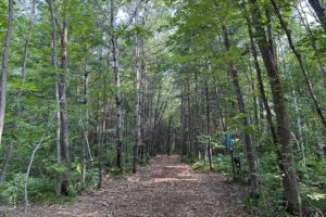 Recreational land for sale near Tuscobia Trail in Northern Wisconsin