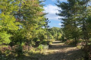 Land for sale near Solon Springs, WI with Access to Lakes, Trails & Public Land!