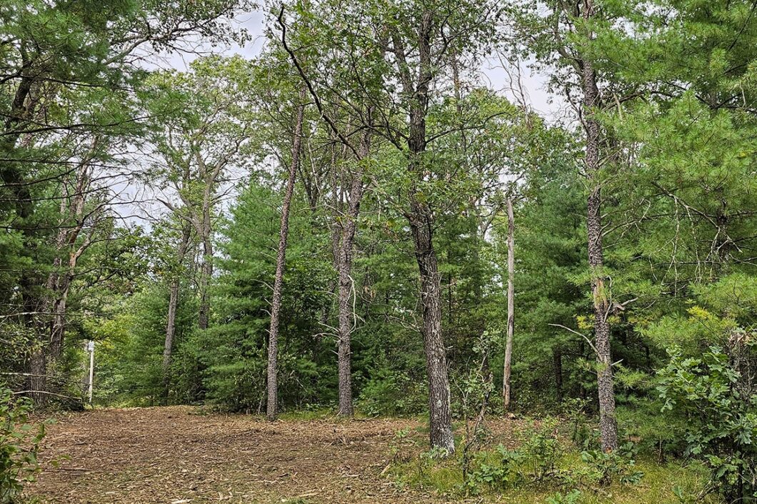 Central Wisconsin land for sale near Wisconsin Dells