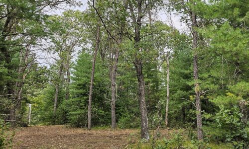 Central Wisconsin land for sale near Wisconsin Dells