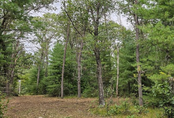 Central Wisconsin land for sale near Wisconsin Dells