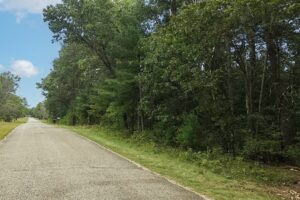 Central Wisconsin land for sale near Wisconsin Dells