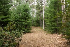 Central Wisconsin land for sale near Wisconsin Dells