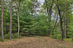 Central Wisconsin land for sale near Wisconsin Dells
