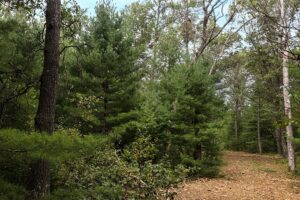Central Wisconsin land for sale near Wisconsin Dells