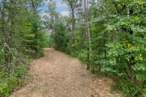 Central Wisconsin land for sale near Wisconsin Dells