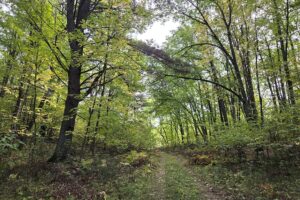 Recreational land for sale near Menominee in Marinette County, WI