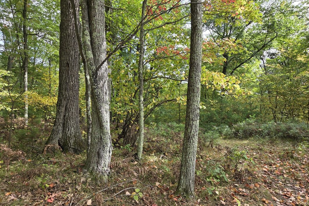 Buildable land for sale near Amberg, WI