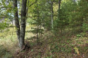 Buildable land for sale near Amberg, WI