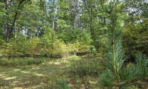 Northern Wisconsin land for sale near Lake Noquebay