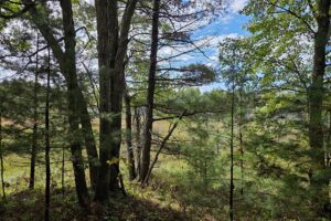 Northern Wisconsin land for sale near Lake Noquebay