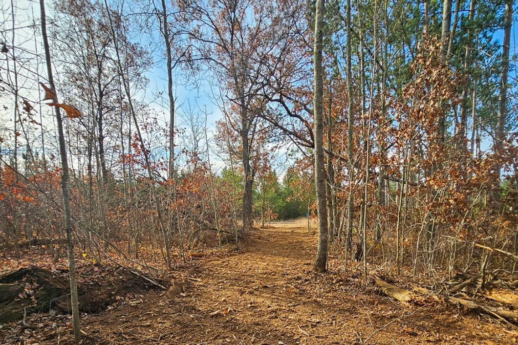 Wooded Wisconsin land for sale near Webster WI with cleared building site, mature hardwoods, and meadow views—ideal Northwoods property for cabin, camping, or home.