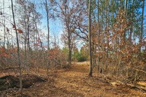 Wooded Wisconsin land for sale near Webster WI with cleared building site, mature hardwoods, and meadow views—ideal Northwoods property for cabin, camping, or home.