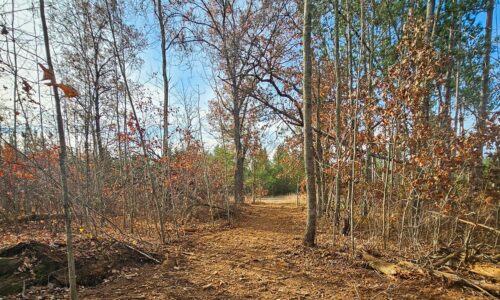 Wooded Wisconsin land for sale near Webster WI with cleared building site, mature hardwoods, and meadow views—ideal Northwoods property for cabin, camping, or home.