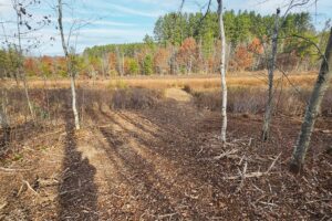 Wooded Wisconsin land for sale near Webster WI with cleared building site, mature hardwoods, and meadow views—ideal Northwoods property for cabin, camping, or home.