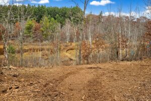 Wooded Wisconsin land for sale near Webster WI with cleared building site, mature hardwoods, and meadow views—ideal Northwoods property for cabin, camping, or home.