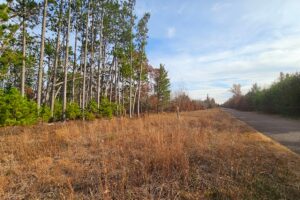 Wooded Wisconsin land for sale near Webster WI with cleared building site, mature hardwoods, and meadow views—ideal Northwoods property for cabin, camping, or home.