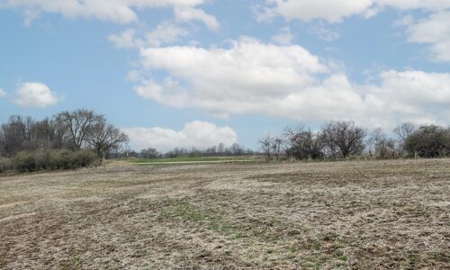 Recreational land with building site for sale near Gays Mills, WI
