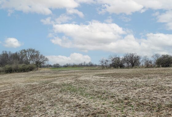 Recreational land with building site for sale near Gays Mills, WI