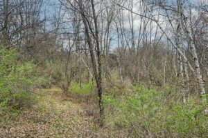 Recreational land with building site for sale near Gays Mills, WI