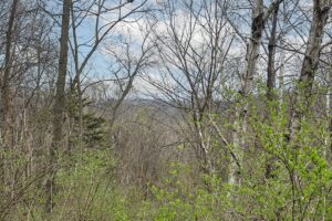 Recreational land with building site for sale near Gays Mills, WI