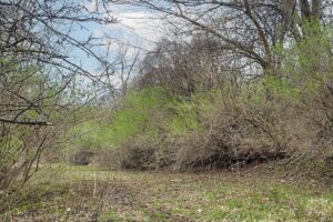 Recreational land with building site for sale near Gays Mills, WI