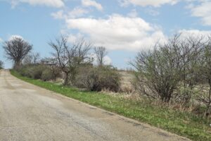 Recreational land with building site for sale near Gays Mills, WI