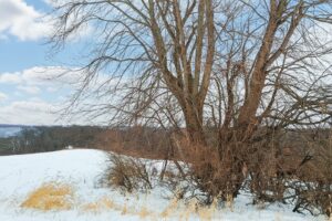 Wisconsin's Driftless Region land for sale with valley views!