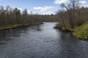 Recreational land for sale in Washburn County, WI near Trego, with power at the road, private Northwoods setting, and access to lakes, rivers, and trails.