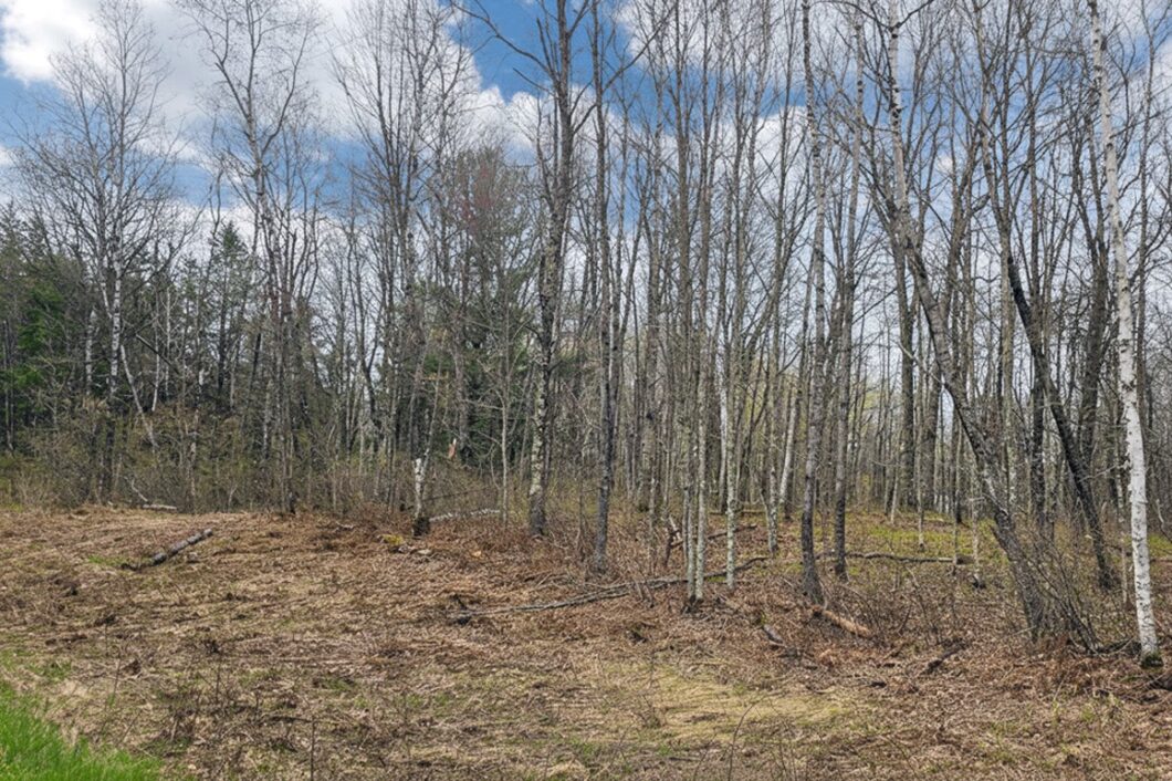 Wooded land for sale in Washburn County, WI near Trego Lake and Namekagon River, ideal for cabin, campsite, or full-time home.