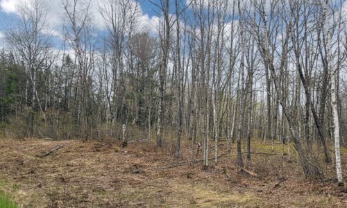 Wooded land for sale in Washburn County, WI near Trego Lake and Namekagon River, ideal for cabin, campsite, or full-time home.