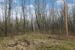 Wooded land for sale in Washburn County, WI near Trego Lake and Namekagon River, ideal for cabin, campsite, or full-time home.