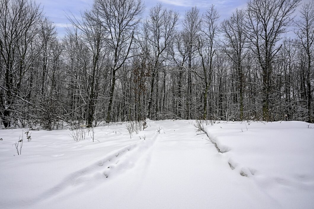 Northwoods parcel in Washburn County, WI near Trego and Spooner, ideal for cabin, RV, or full-time home with access to lakes, rivers, and trails.