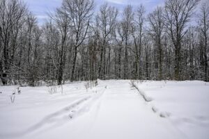 Northwoods parcel in Washburn County, WI near Trego and Spooner, ideal for cabin, RV, or full-time home with access to lakes, rivers, and trails.