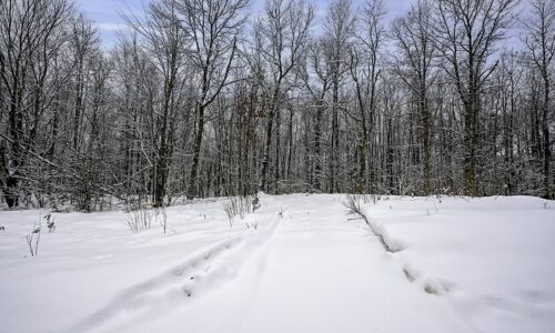 Northwoods parcel in Washburn County, WI near Trego and Spooner, ideal for cabin, RV, or full-time home with access to lakes, rivers, and trails.