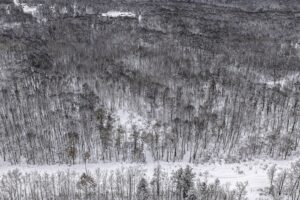 Northwoods parcel in Washburn County, WI near Trego and Spooner, ideal for cabin, RV, or full-time home with access to lakes, rivers, and trails.