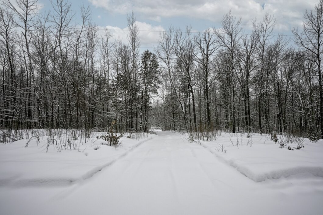 Wooded Northwoods parcel near Trego and Spooner, WI with power at the road, private setting, and access to lakes, rivers, and trails.