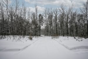 Wooded Northwoods parcel near Trego and Spooner, WI with power at the road, private setting, and access to lakes, rivers, and trails.