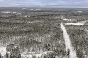 Wooded Northwoods parcel near Trego and Spooner, WI with power at the road, private setting, and access to lakes, rivers, and trails.