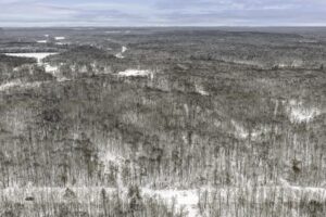Wooded Northwoods parcel near Trego and Spooner, WI with power at the road, private setting, and access to lakes, rivers, and trails.