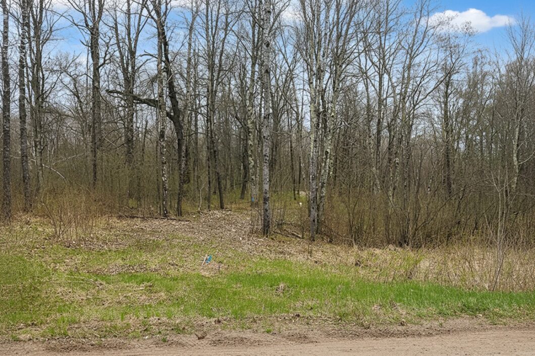 Recreational land for sale in Washburn County, WI near Trego, with power at the road, private Northwoods setting, and access to lakes, rivers, and trails.