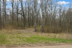 Recreational land for sale in Washburn County, WI near Trego, with power at the road, private Northwoods setting, and access to lakes, rivers, and trails.