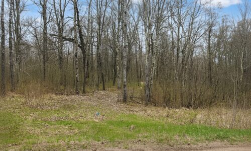 Recreational land for sale in Washburn County, WI near Trego, with power at the road, private Northwoods setting, and access to lakes, rivers, and trails.