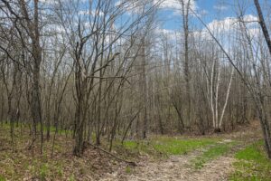 Recreational land for sale in Washburn County, WI near Trego, with power at the road, private Northwoods setting, and access to lakes, rivers, and trails.