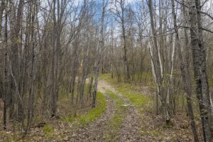 Recreational land for sale in Washburn County, WI near Trego, with power at the road, private Northwoods setting, and access to lakes, rivers, and trails.